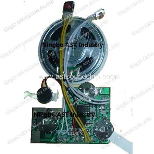 Recordable Sound Module, Sound Cards, Voice Chip, Voice Module Recorder